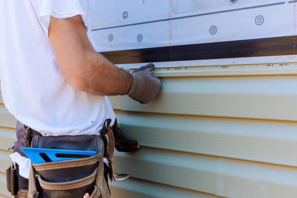 Best Vinyl Siding Installation  in Ashland, NE